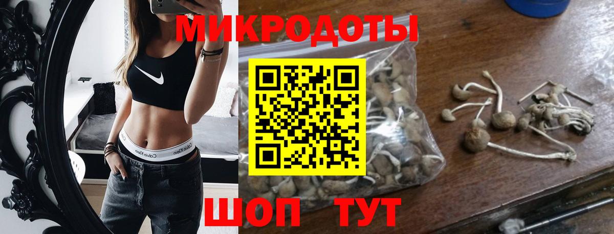 Кандалакша  Галлюциногенные грибы мухоморы  Вход с VPN 